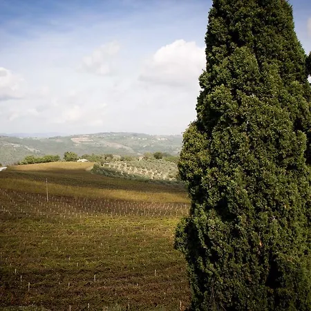 La Casa Di Teresa לינה וארוחת בוקר Monte Castello di Vibio